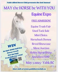 May the Horse be With You Vendor Table