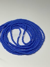 Image 1 of Periwinkle