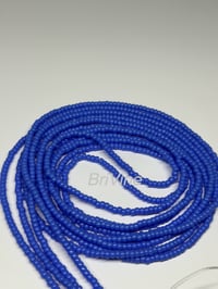 Image 2 of Periwinkle