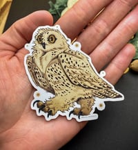 Image 2 of Snowy Owl Sticker