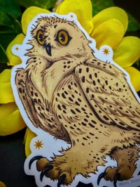 Image 3 of Snowy Owl Sticker