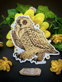 Image 1 of Snowy Owl Sticker