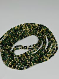 Image 1 of Eclipse Ivy