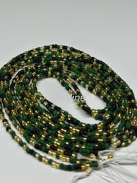 Image 2 of Eclipse Ivy