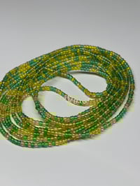 Image 1 of Shamrock