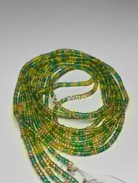 Image 2 of Shamrock
