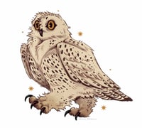 Image 4 of Snowy Owl Sticker
