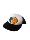 Stank Fish Hat