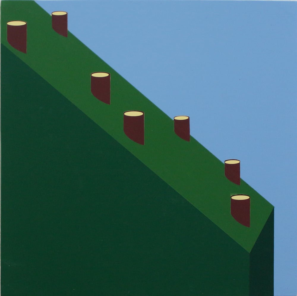 Image of Silvia Negrini - Soaring deforestation
