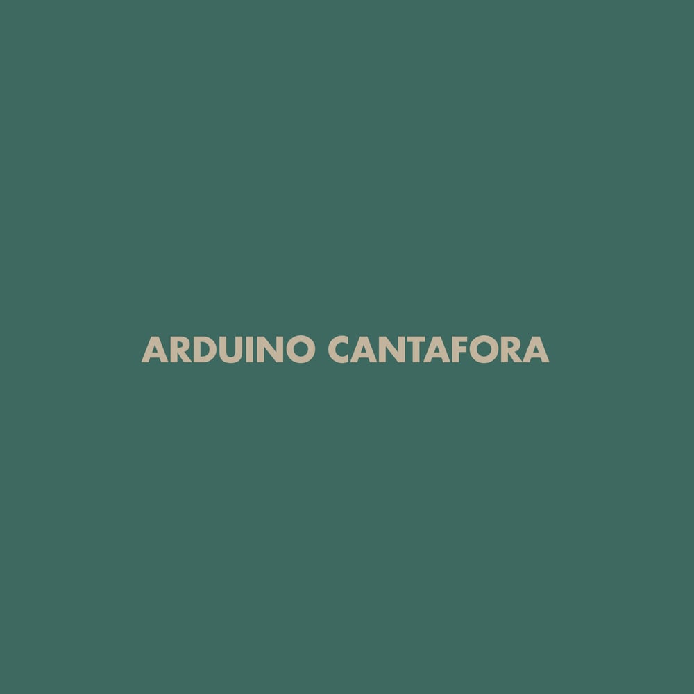 Image of Arduino Cantafora - Anamnesi exhibition catalog