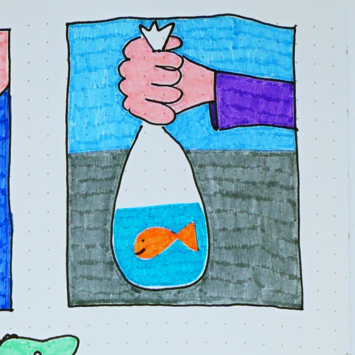 Poisson rouge  Image 4