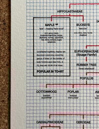 Image 4 of Tree Relations - A2 limited edition
