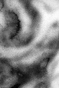 Image 2 of Dissenso Cognitivo - 2