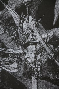 Image 2 of Dissenso Cognitivo - 3