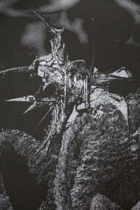 Image 3 of Dissenso Cognitivo - 3