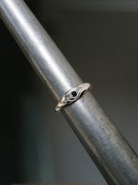 Image 1 of Polar ring with black spinel