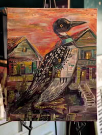 Neighborhood Loon