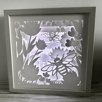 Image 1 of Special Shadow Boxes