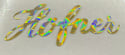 Hofner Guitar Headstock decal,sticker X1