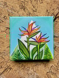 Bird of Paradise