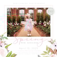 Spring Mini Sessions