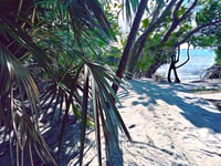 Palm Beach