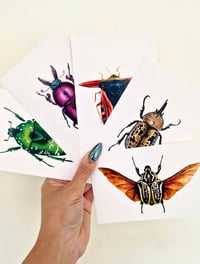 Image 1 of Beetle Art Postcards Set