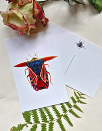 Image 4 of Beetle Art Postcards Set