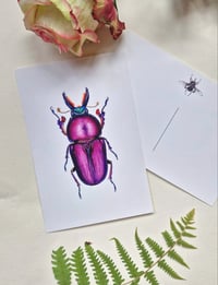 Image 5 of Beetle Art Postcards Set