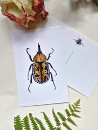 Image 6 of Beetle Art Postcards Set