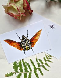 Image 7 of Beetle Art Postcards Set