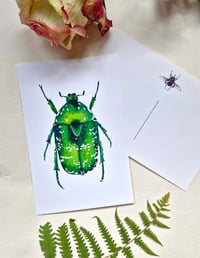 Image 8 of Beetle Art Postcards Set