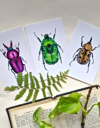 Image 9 of Beetle Art Postcards Set