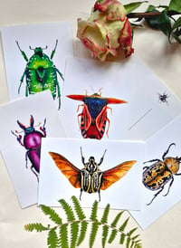 Image 2 of Beetle Art Postcards Set