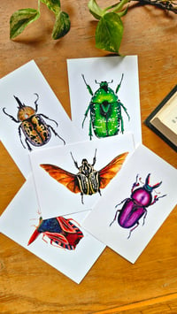 Image 3 of Beetle Art Postcards Set