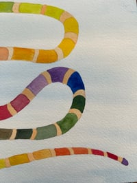 Image 3 of Rainbow Snake