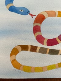 Image 4 of Rainbow Snake