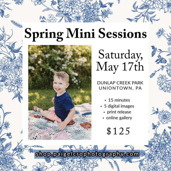 Image of Spring Mini Session - DAY ONE