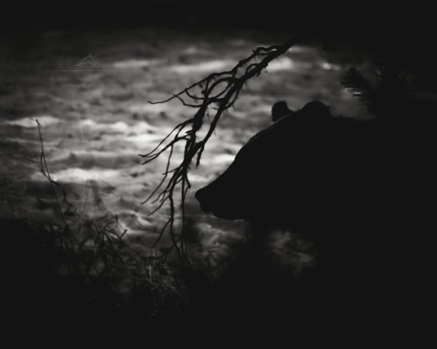 Image of 399's Silhouette