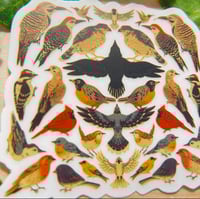 Image 4 of Transparent Backyard Birds Sticker