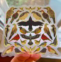 Image 3 of Transparent Backyard Birds Sticker