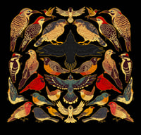 Image 5 of Transparent Backyard Birds Sticker