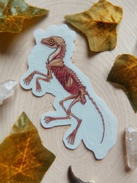 Image 2 of Transparent Fox Skeleton Sticker