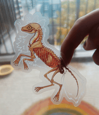 Image 3 of Transparent Fox Skeleton Sticker