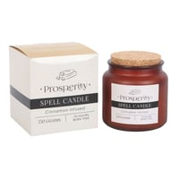 Image 3 of Cinnamon Infused Prosperity Candle 