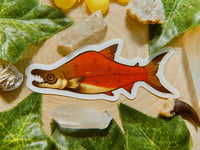 Image 3 of Transparent Sockeye Salmon Sticker