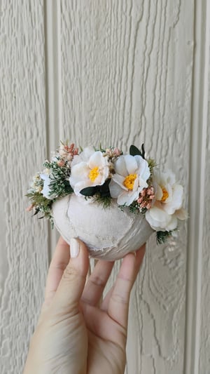 Image of Patricia halo