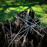 Image 1 of Skewers