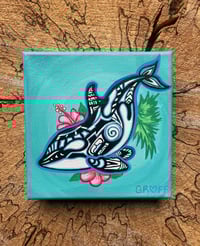 Orca 