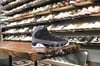 AIR JORDAN IX (9) "RACER BLUE"